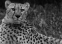 Photography-AB 2