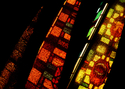 Photography--Color-ArchitectureCat 9