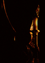 Photography--Color-ArchitectureCat 17