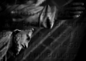 Photography--Color-ArchitectureCat 21
