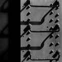 Photography--Black & White-Still LifeST 25