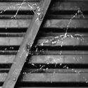 Photography-ST 29