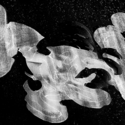 Photography-ST 31