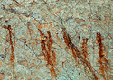 Photography--Color-AbstractRO 14