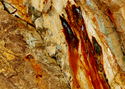 Photography--Color-AbstractRO 15