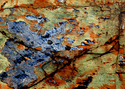 Photography--Color-AbstractRO 20