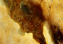 Photography--Color-AbstractRO 21