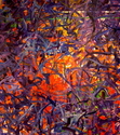 Untitled%20%2323%20%28Unity%29%2C%20Acrylic%20on%20Canvas%2C%2048%22%20x%2040%22 (thumbnail)