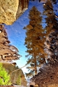 Reflections on this World #1