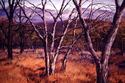 Fall in the Foothills Fall%20in%20the%20Foothills (thumbnail)