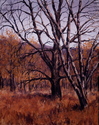 Fall Woodlands No. 2 Fall%20Woodlands%20No.%202 (thumbnail)