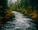 Fall River Near Burney Fall%20River%20Near%20Burney (thumbnail)