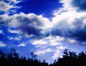Spring%20Storm%20No.%201 (thumbnail)