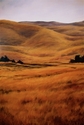 Evening Hills No. 3 Evening%20Hills%20No.%203 (thumbnail)