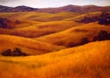 Evening Hills No. 4 Evening%20Hills%20No.%204 (thumbnail)