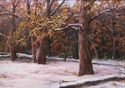 First%20Snowfall%2C%20Yosemite%20Valley (thumbnail)