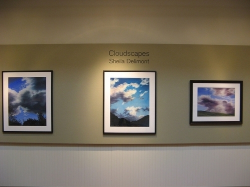 2011 Gallery  Exhibits