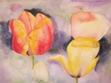 Lauren Mooney Bear - Spring