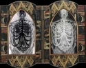 Diptych (thumbnail)