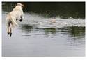 %22Make%20a%20Splash%22 (thumbnail)