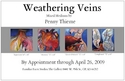 Weathering%20Veins%2FPenny%20Thieme (thumbnail)