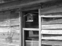 Picture (thumbnail)