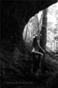 andersonartwork (thumbnail)