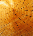 Rings%20of%20Time (thumbnail)