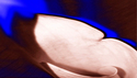 Organic%20Shapes (thumbnail)