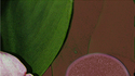 Organic%20Shapes (thumbnail)
