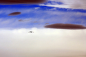 New%20Mexico%20Sky (thumbnail)
