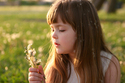 Dandelion (thumbnail)