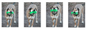 Bigfoot%20%26%20Kermie (thumbnail)