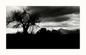 Beyond%20Mourning (thumbnail)