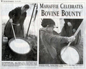 Bovine%20Bounty (thumbnail)