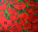Red Poppies Red%20Poppies (thumbnail)