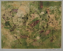 Vines Interior II