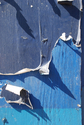 Photography--Digital-AbstractBlue Curls A