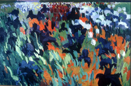 Michael Bailey - Irises