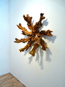 vertebral%20bloom%20 (thumbnail)