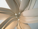 floras (thumbnail)