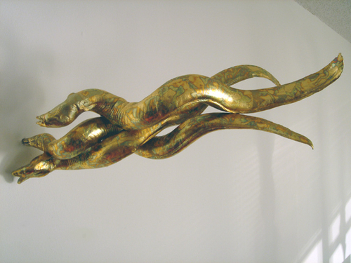 eels
