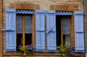 les fen�tres bleues, Le Pin