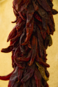 Chile Peppers, Santa Fe
