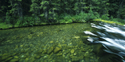 River 1