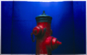 Red Hydrant, Montreal