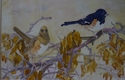 Painting--Watercolor-AnimalsTowhee pair