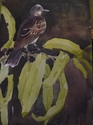 Painting--Watercolor-Animalskingbird