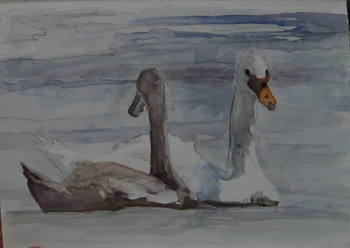 Painting-Animals-Swan&Signet