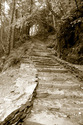 Stairway%20to%20Heaven%3Cbr%3E (thumbnail)